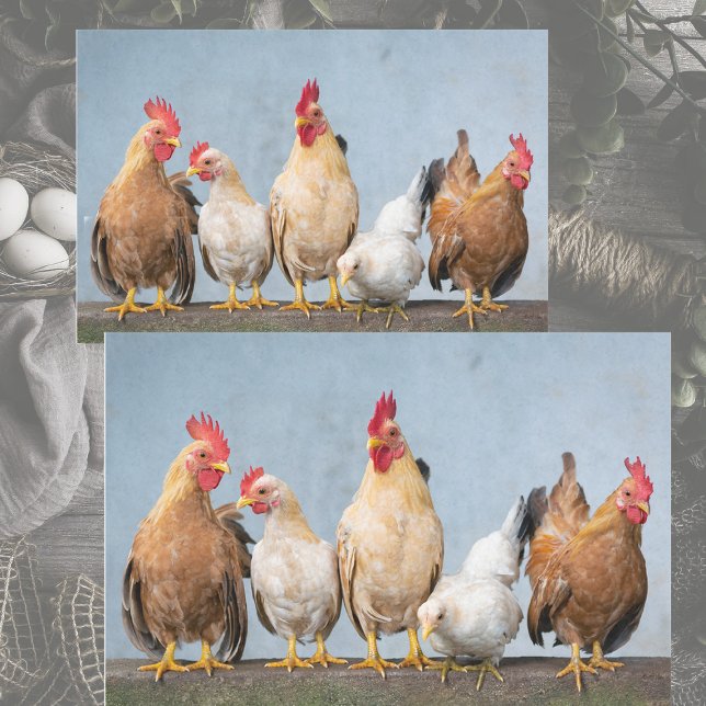 A Chaotic Chicken Portrait Pt 1 Tissue Paper (Creator Uploaded)