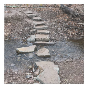 A charming brook meanders through the woods faux canvas print
