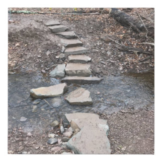 A charming brook meanders through the woods faux canvas print