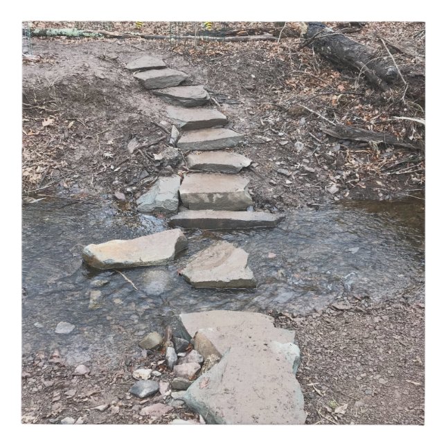 A charming brook meanders through the woods faux canvas print (Front)