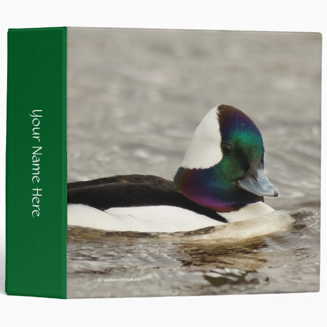 A Charming Bufflehead Duck Swims By 3 Ring Binder (Front/Spine)