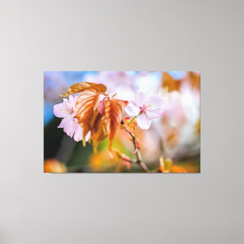 A Charming Sakura Flower On A Twig In Spring Canvas Print