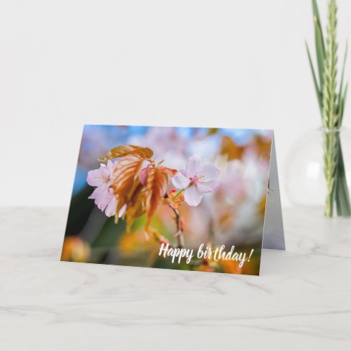 A Charming Sakura Flower On A Twig In Spring Card