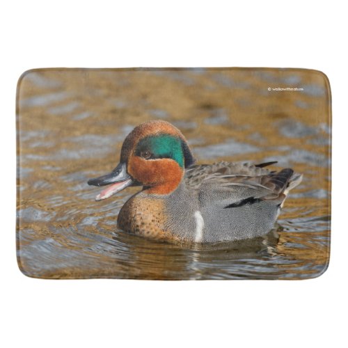 A Chatty Green_Winged Teal Duck at the Pond Bath Mat