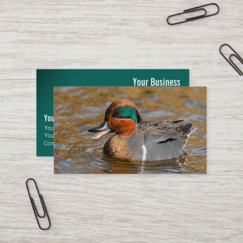 A Chatty Green_Winged Teal Duck at the Pond Business Card