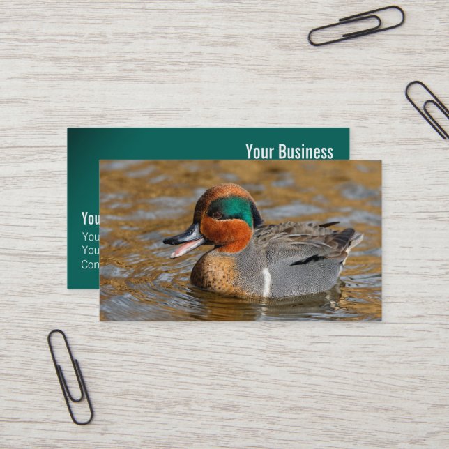 A Chatty Green-Winged Teal Duck at the Pond Business Card (Front/Back In Situ)