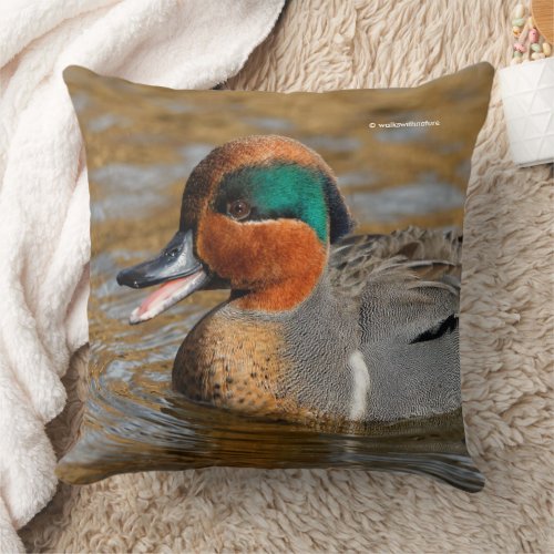 A Chatty Green_Winged Teal Duck at the Pond Throw Pillow