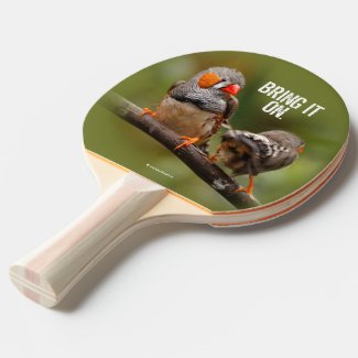 A Cheeky Pair of Zebra Finch Songbirds