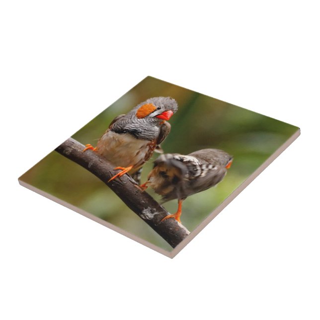 A Cheeky Pair of Zebra Finches Ceramic Tile (Side)