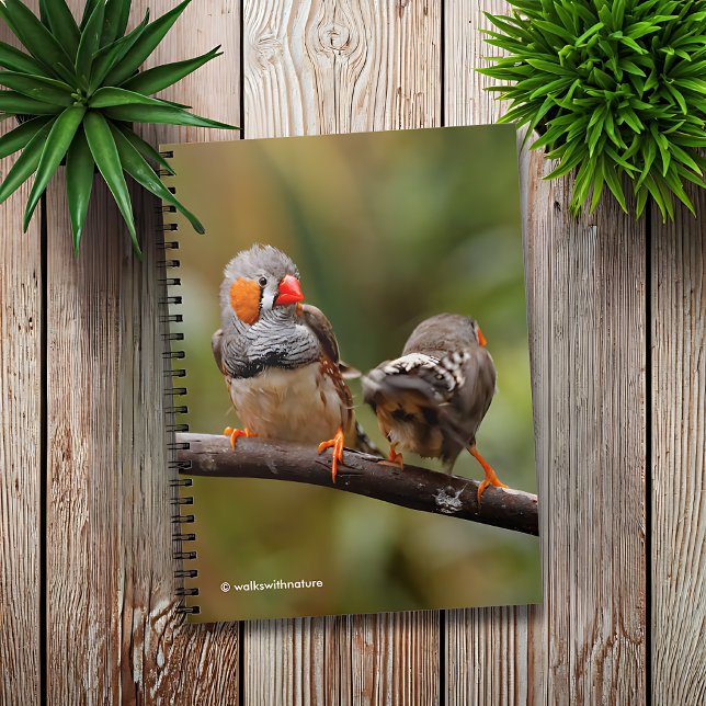 A Cheeky Pair of Zebra Finches Notebook (Cheeky Pair of Zebra Finches Journal Cover Photo)