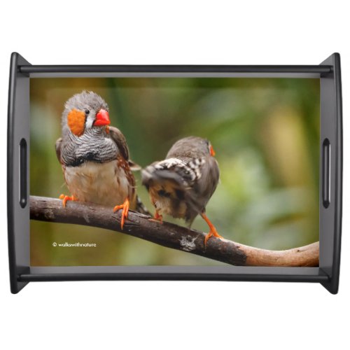 A Cheeky Pair of Zebra Finches Serving Tray