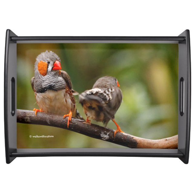 A Cheeky Pair of Zebra Finches Serving Tray (Front)