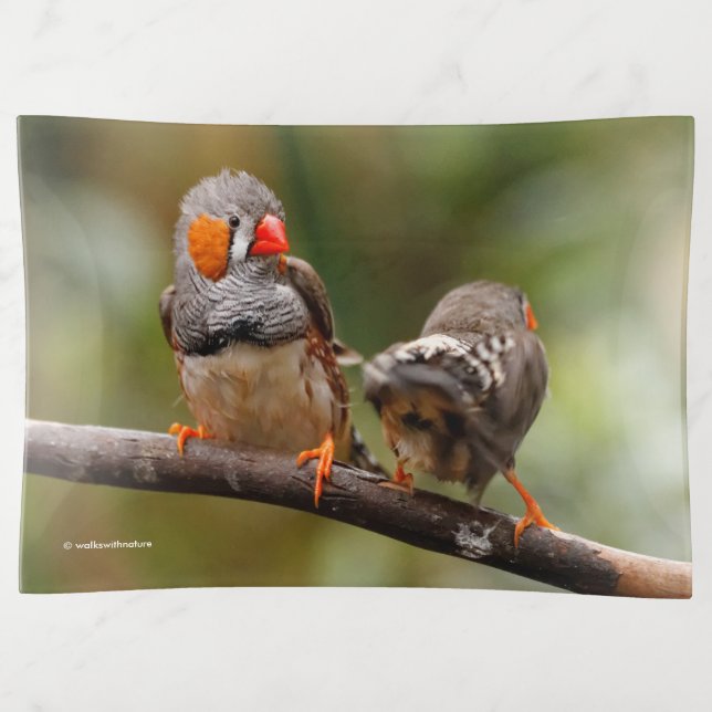 A Cheeky Pair of Zebra Finches Trinket Tray (Front)
