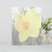 A Cheerful Yellow Daffodil (Standing Front)