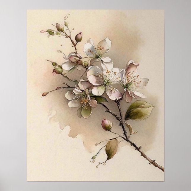 A Cherry Blossom Branch Watercolor Poster (Front)