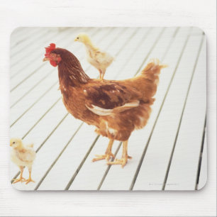 A Chicken and Two Chicks On a Wooden Floor, Mouse Pad