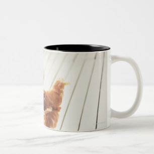 A Chicken and Two Chicks On a Wooden Floor, Two-Tone Coffee Mug
