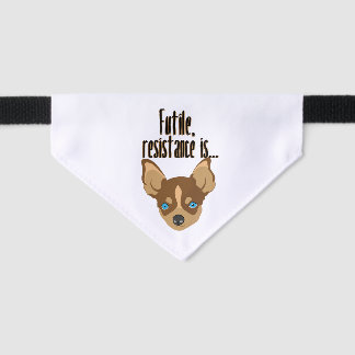 A chihuahua: Futile, resistance is. Pet Bandana Collar