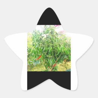 A chilly: delicious spread tasty treats. star sticker