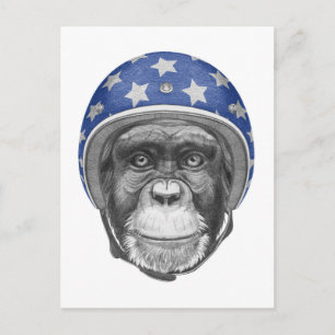 A Chimpanzee Motorcycle Rider Postcard