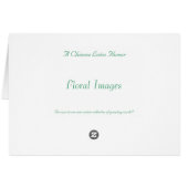 A Chinese Lotus Flower (Back Horizontal)