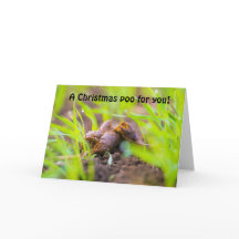 A Christmas Dog Poo for you