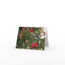 A Christmas Surprise Cards