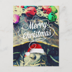A Christmas Turtle Holiday Postcard