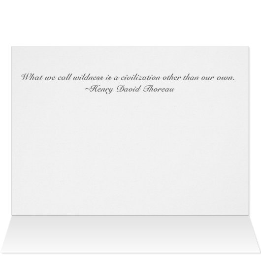 A Civilization other than our own (Inside Horizontal (Top))