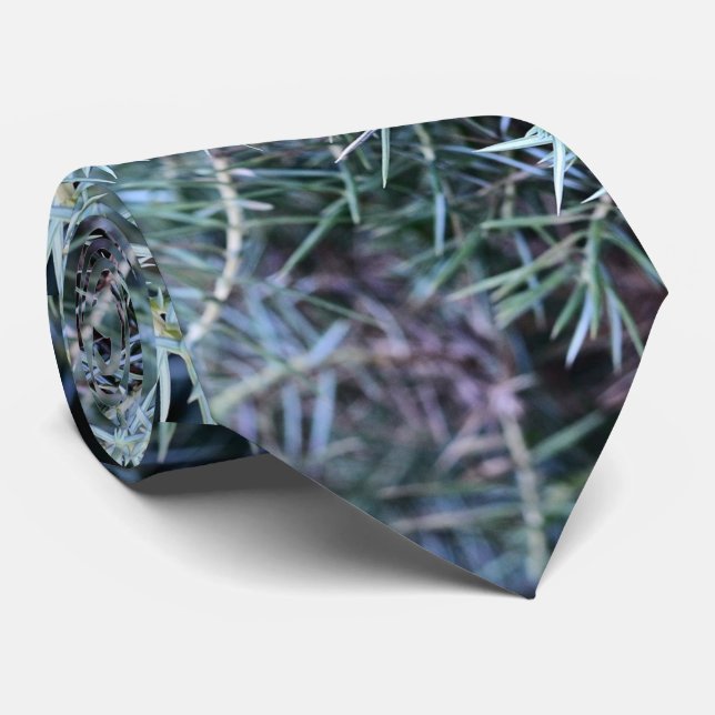 A Close Shot Of Juniper Neck Tie (Rolled)