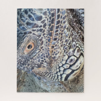 A close up head of a green iguana. Challenging Jigsaw Puzzle