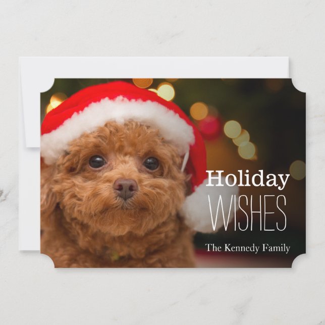 A close up, of a red toy poodle holiday card (Front)