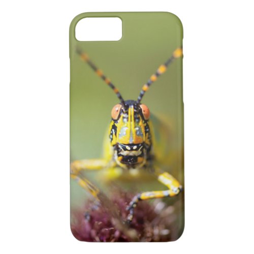 A close_up of an Elegant Grasshopper iPhone 87 Case