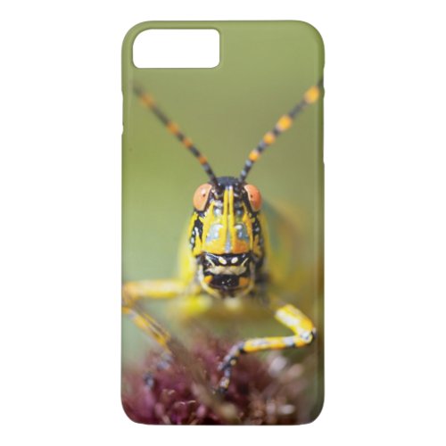 A close_up of an Elegant Grasshopper iPhone 8 Plus7 Plus Case