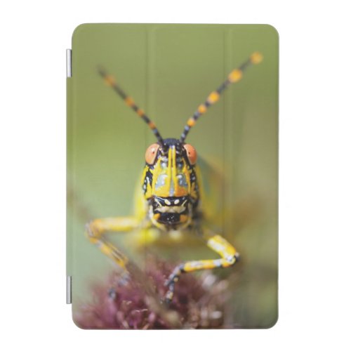 A close_up of an Elegant Grasshopper iPad Mini Cover