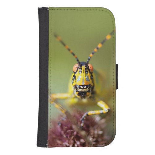 A close_up of an Elegant Grasshopper Galaxy S4 Wallet Case