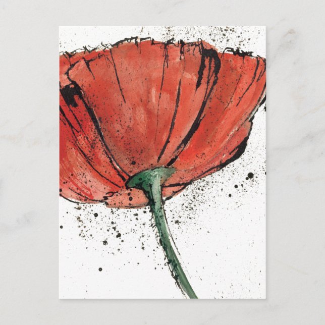 A Closed Flower on a White Background Postcard (Front)