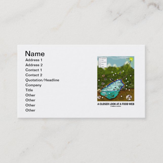 A Closer Look At A Food Web (Biology / Ecology) Business Card (Front)