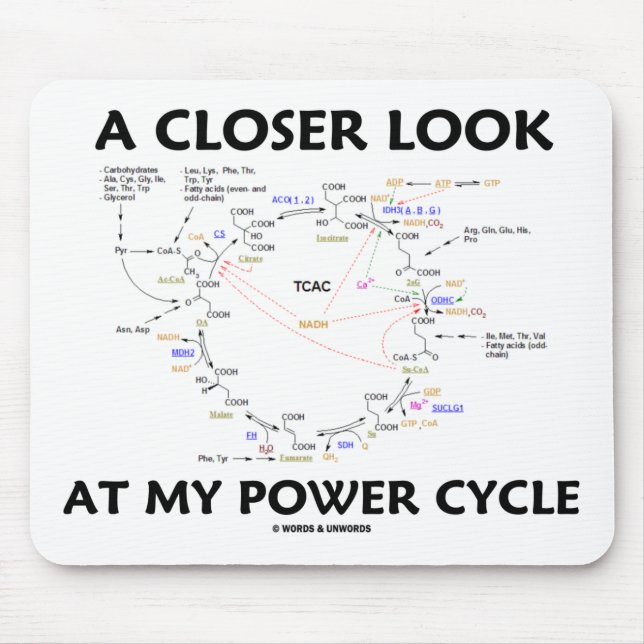 A Closer Look At My Power Cycle (Krebs Cycle) Mouse Pad (Front)
