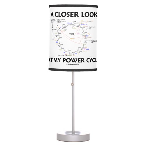A Closer Look At My Power Cycle Krebs Cycle Table Lamp