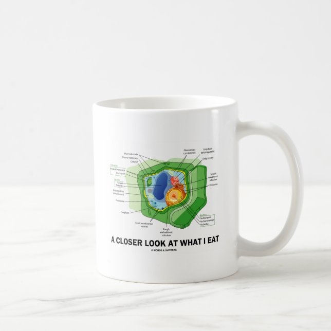A Closer Look At What I Eat (Plant Cell) Coffee Mug (Right)