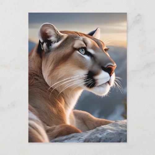 A Closeup Portrait of a Cougar Postcard