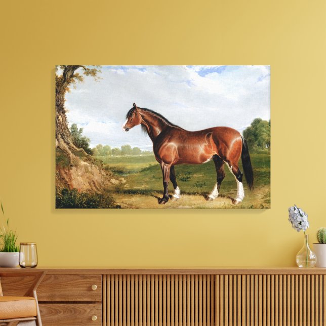 A Clydesdale Stallion Canvas Print (Insitu(LivingRoom))