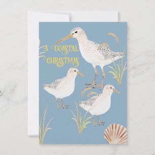 A Coastal Christmas Sand Pipers Holiday Card
