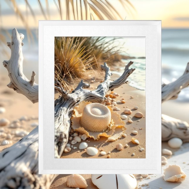 A Coastal Hampton seashells driftwood sunhat Framed Art (Creator Uploaded)