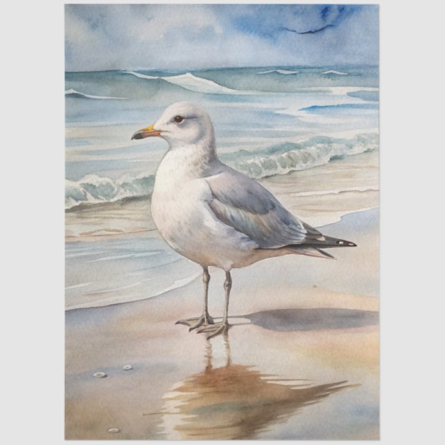 A Coastal Series Design 16 Tissue Paper (Front)