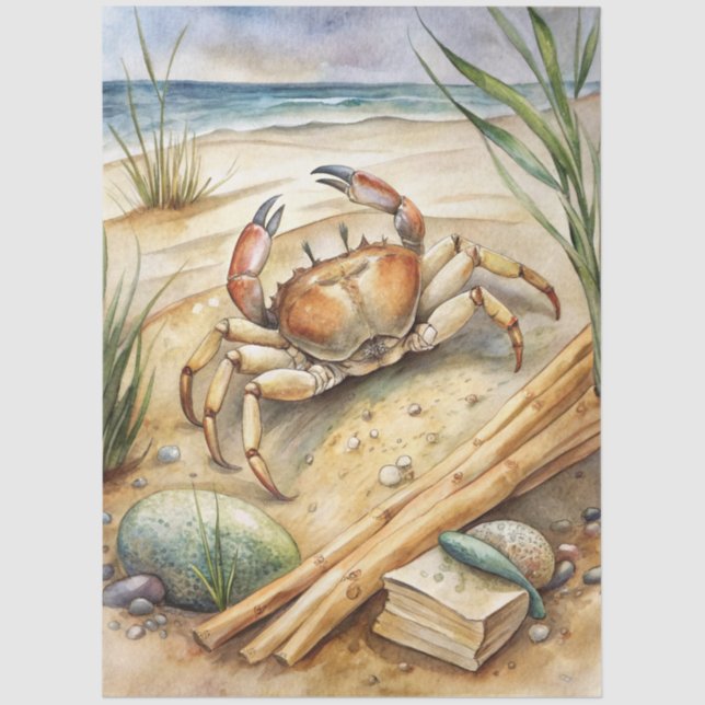 A Coastal Series Design 18 Tissue Paper (Front)