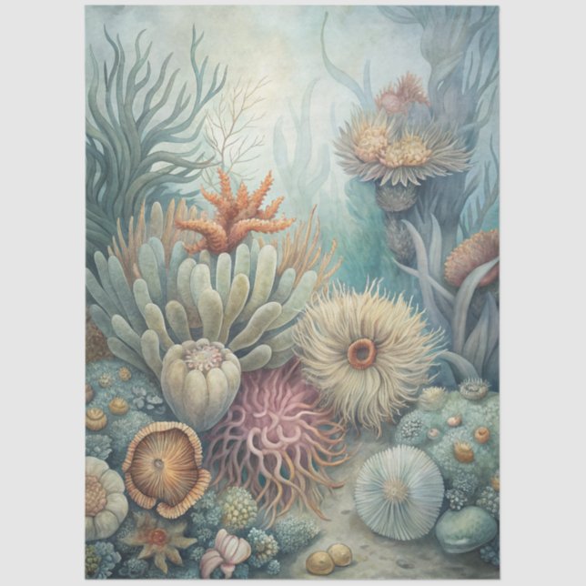 A Coastal Series Design 43 Tissue Paper (Front)