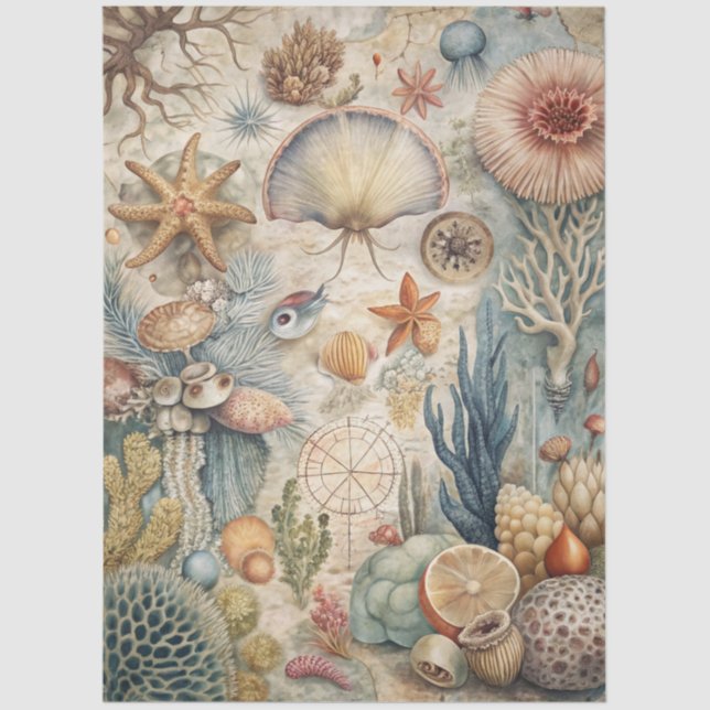 A Coastal Series Design 46 Tissue Paper (Front)