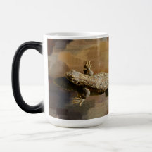 A Coffee Lizard